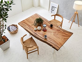 クスとは?木材としての特徴や一枚板の選び方を解説